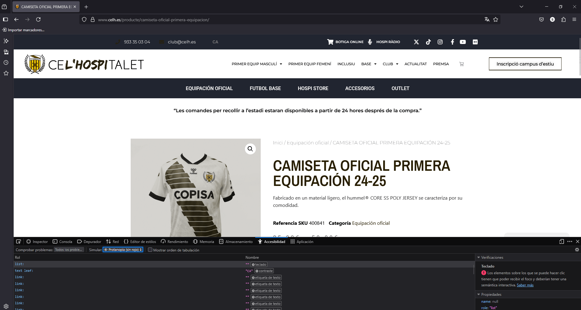 Accessibility audit performed with Mozilla Firefox.
